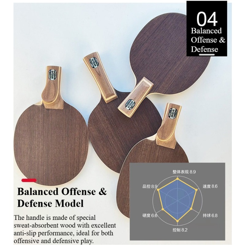 Raquete de Tênis de Mesa Profi - Table Tennis In Japanese avaliação e preço